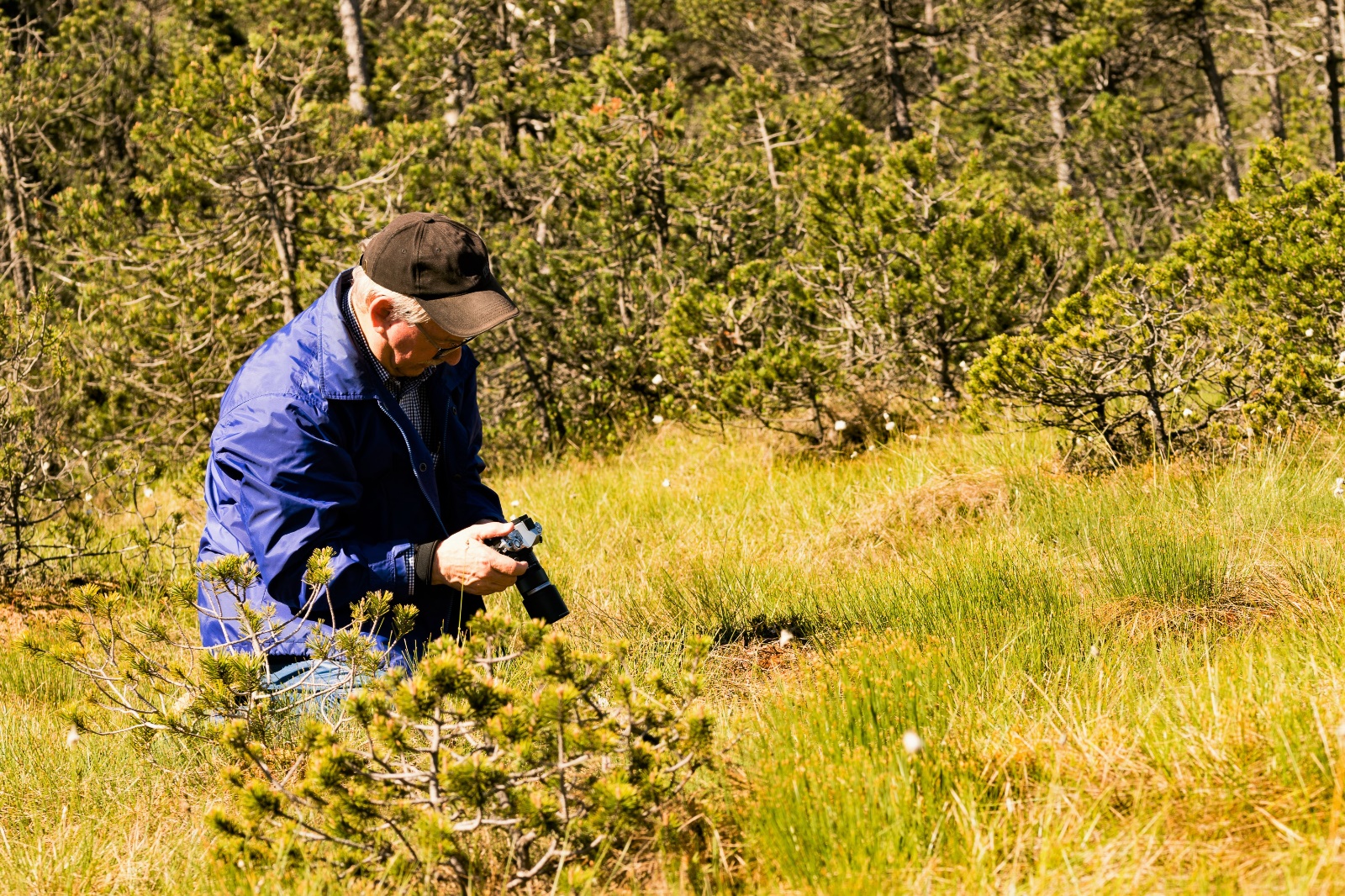 Fotografen in Action Im Hochmoor